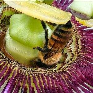 Meet your Posher, at Casa Eden